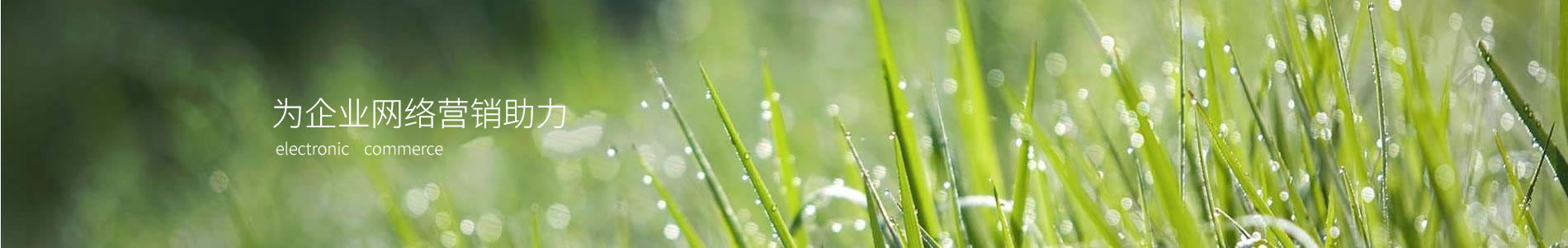 ݲʤٻ޹˾